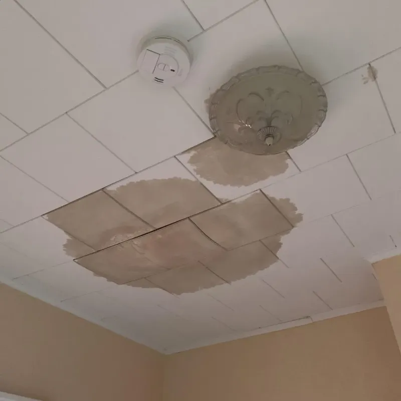 Ceiling Water Damage Repair in Southwick, MA