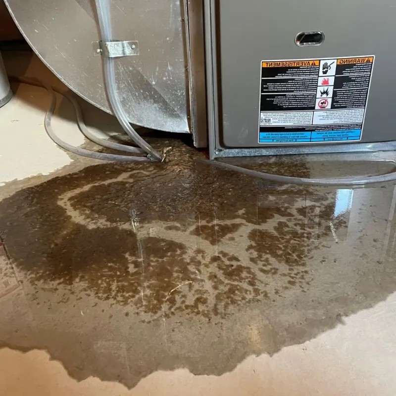 Pipe Burst and Leak Restoration in Southwick, MA
